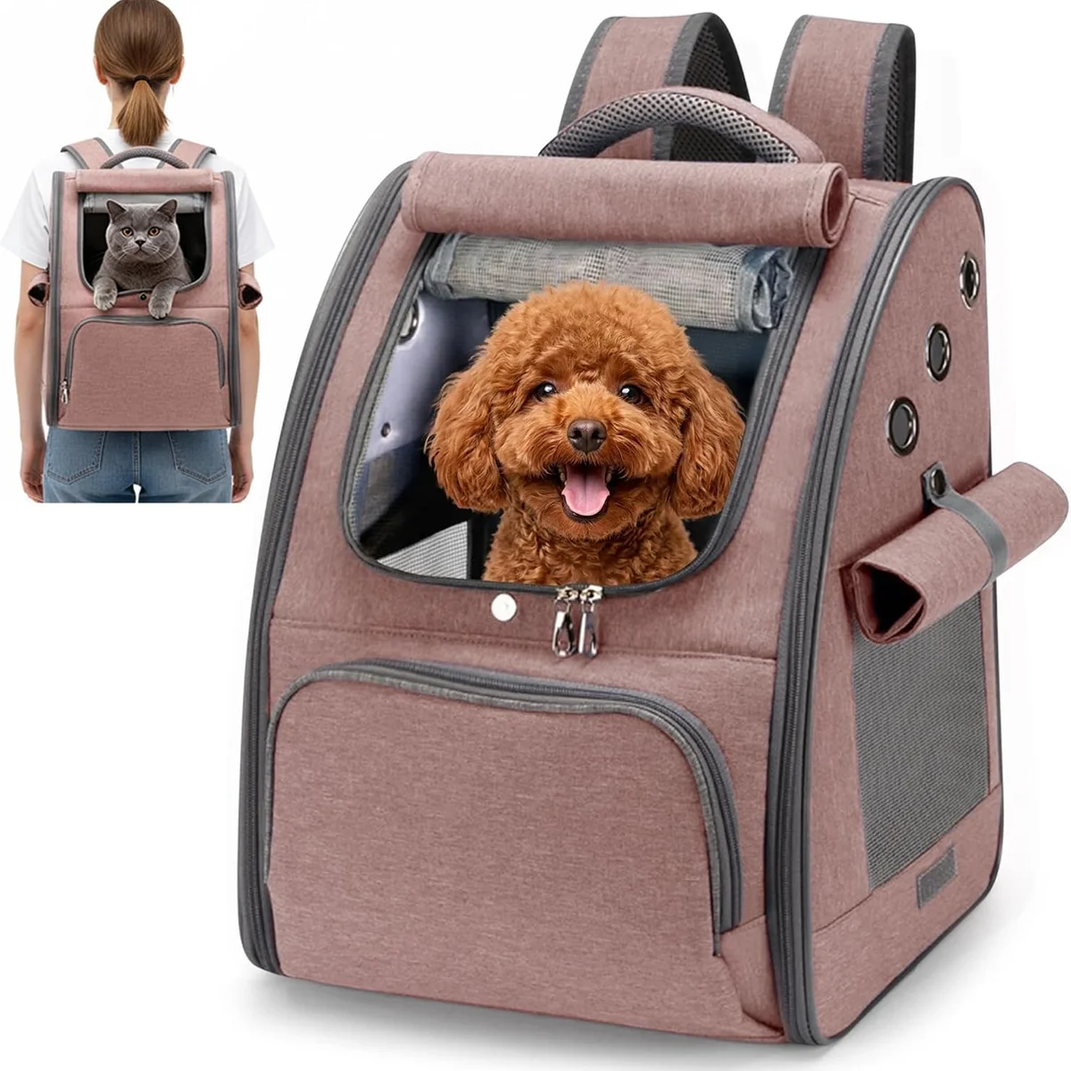 ALLSOPETS Cat Backpack Carrier for Small Dogs and Cats