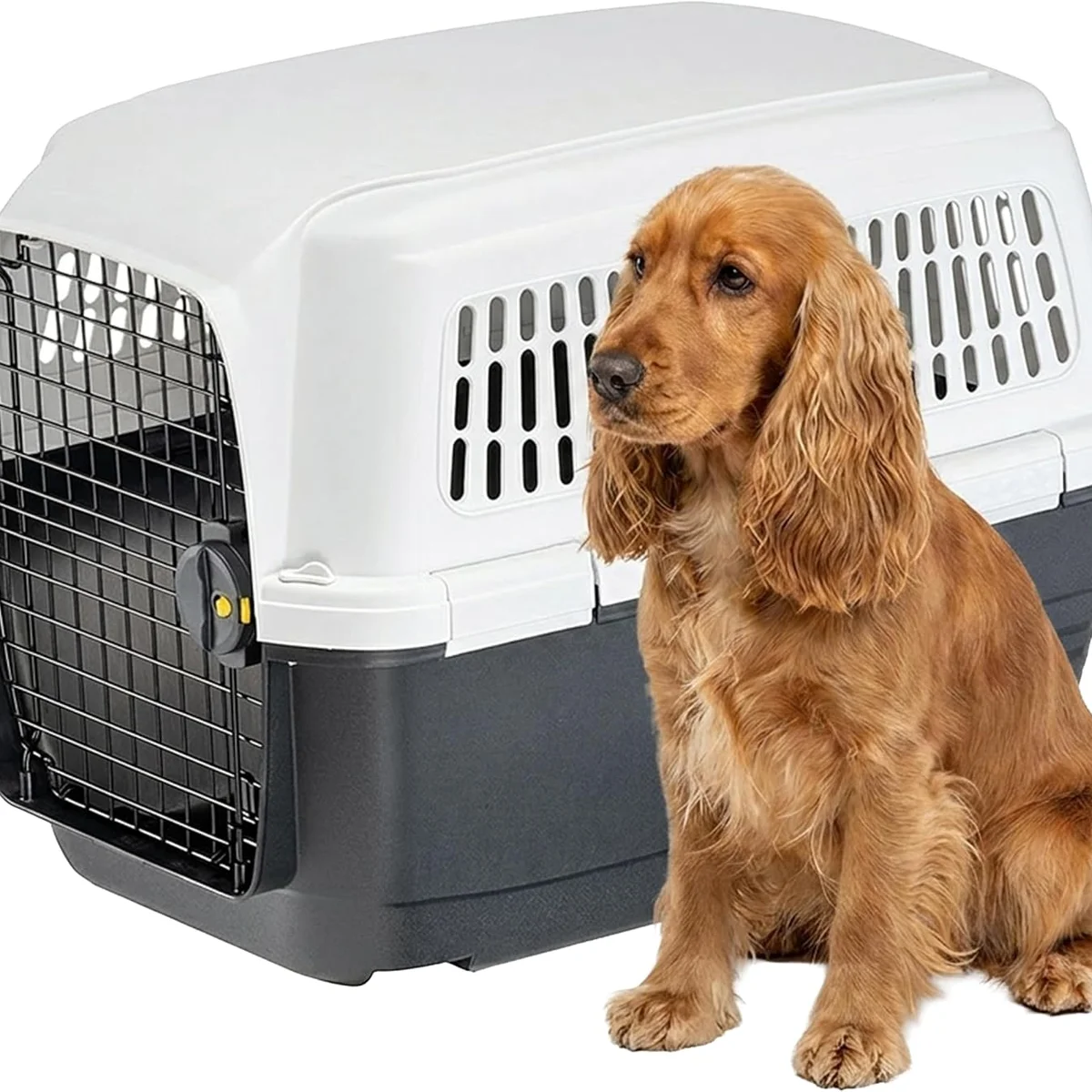 Ferplast Medium Dog Carrier Airline Approved IATA