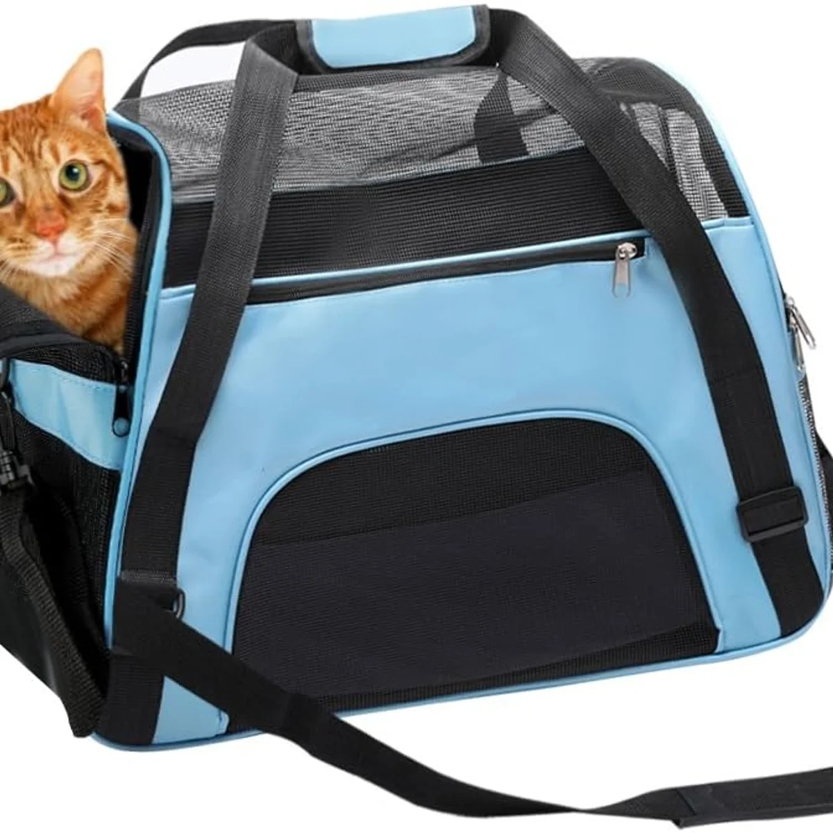 DONYER POWER Airline Approved Under-Seat Cat Carrier, Blue