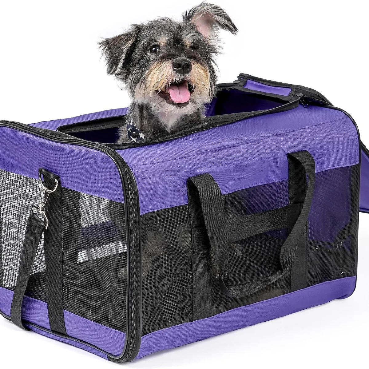Conlun Collapsible Soft-Sided Carrier for Cats and Small Dogs, Purple
