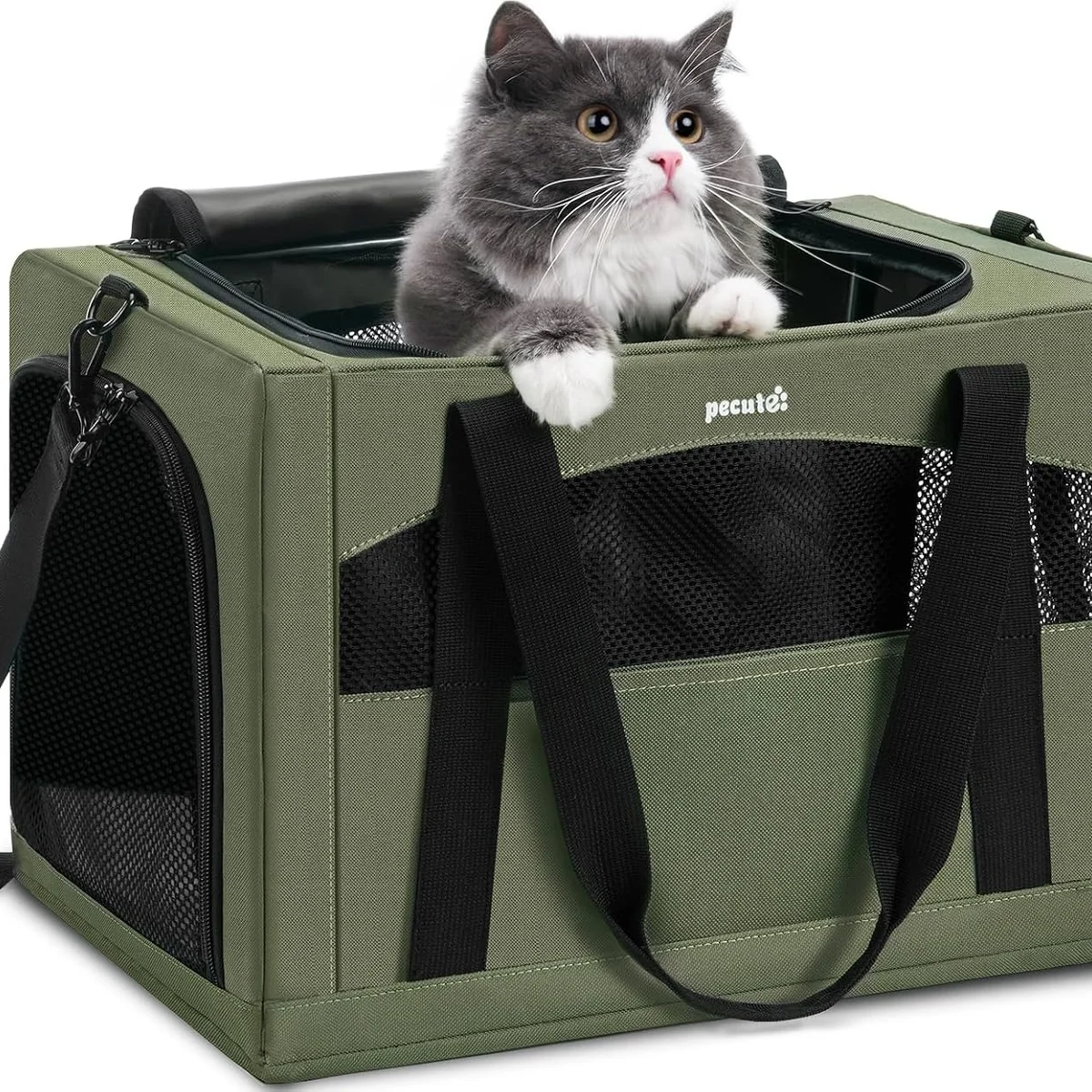 Pecute Cat Carrier with Hidden Partition, Green
