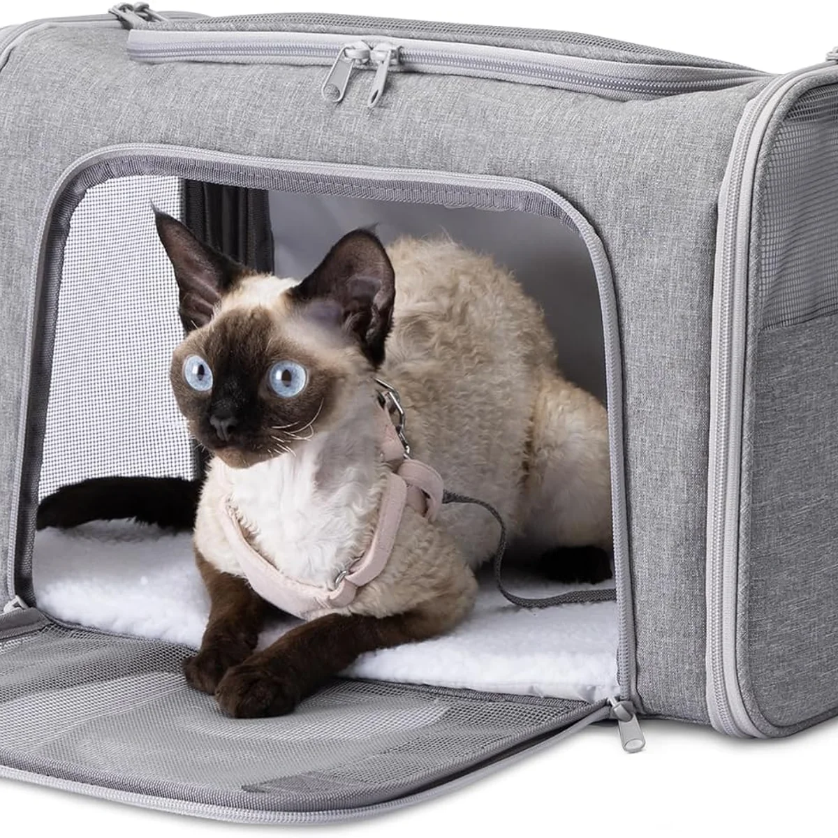 Amazon Basics Soft Cat and Dog Carrier, Airline Approved, Grey